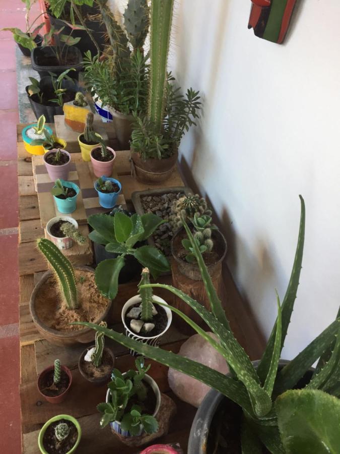 Hostel 35 Canoa Quebrada Dış mekan fotoğraf